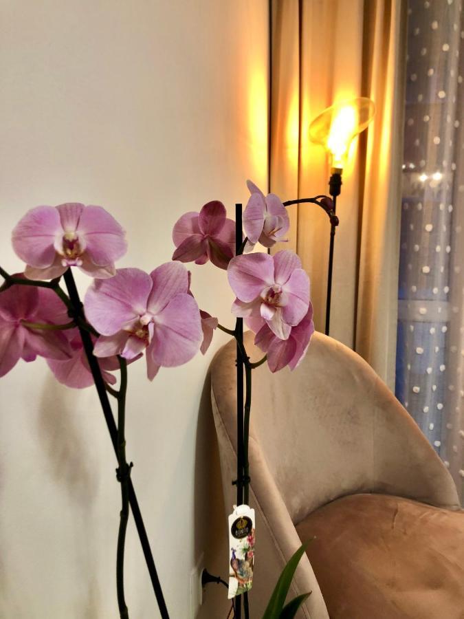 Old Town Romantic Apartment. Breslau-Wroclaw. エクステリア 写真